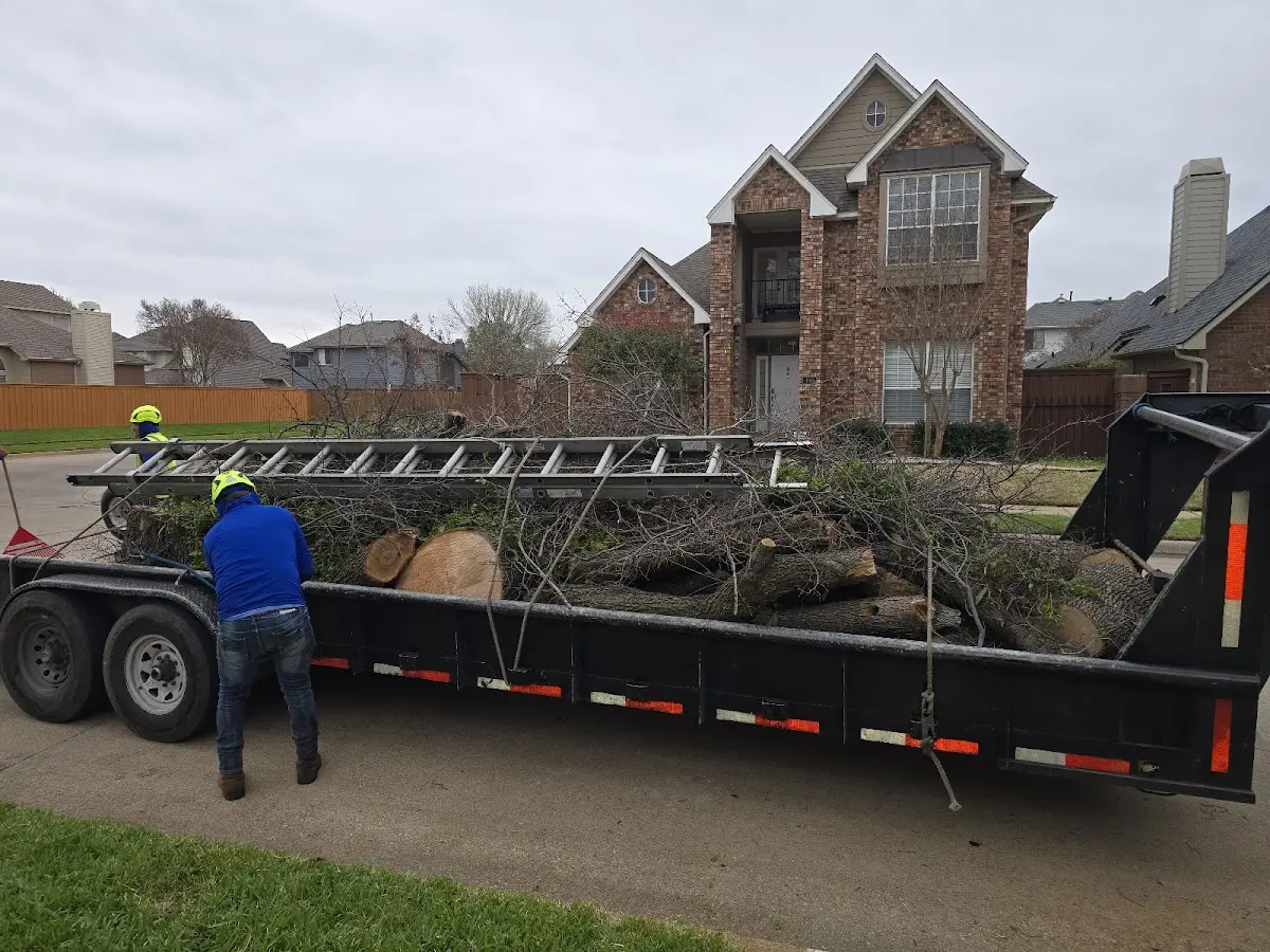 Expert Tree Fertilization with proper safety equipment in Marine